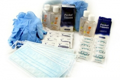 13088 Flu Prevention Kit