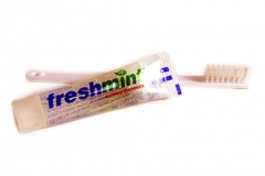 PP66-CMB - Toothbrush With 17 Grams Of Fluoride Toothpaste
