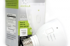 11031 Ascella Emergency Light